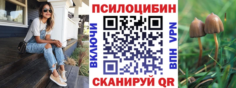 где найти наркотики  shop Telegram  Галлюциногенные грибы MAGIC MUSHROOMS  Нижний Новгород 