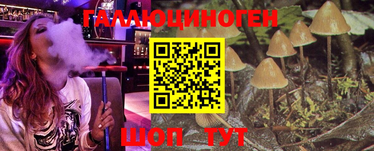 Галлюциногенные грибы Psilocybe  Галлюциногенные грибы мухоморы  Нижний Новгород  Вход с VPN 