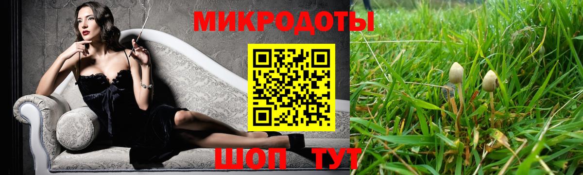Псилоцибиновые грибы Psilocybe Нижний Новгород