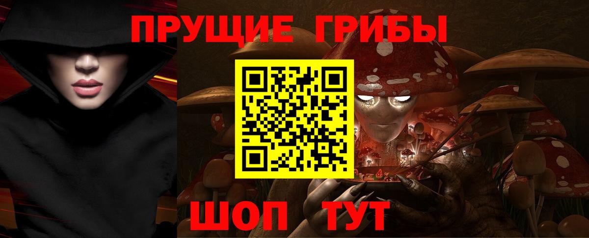 Псилоцибиновые грибы MAGIC MUSHROOMS  наркотики  Нижний Новгород 